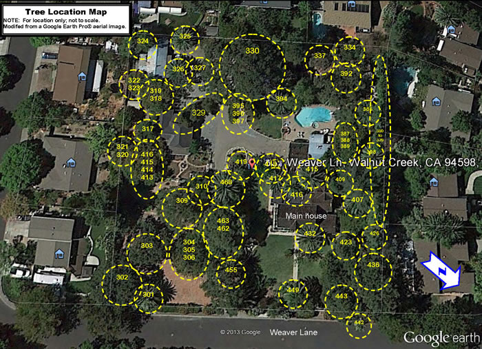Tree Location Map